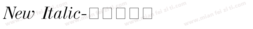 New Italic字体转换